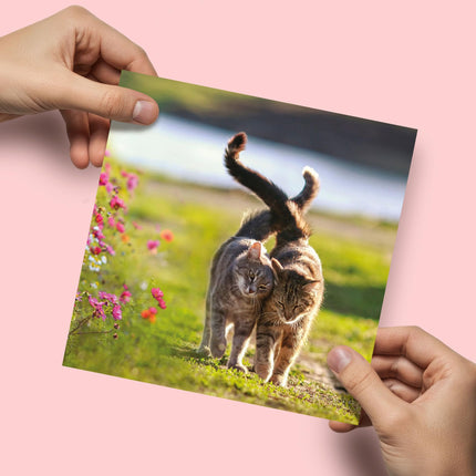 Blank Greeting Card for Women - Cute Cats & Flowers Design - Premium Happy Birthday or All Occasion Greeting Card with Envelope