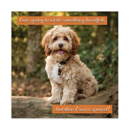 Funny Birthday Card for Dog Mum or Dog Dad - Amusing Cockapoo & Squirrel Joke from Fur Baby, Pet or Puppy - Premium Greeting Card with Envelope