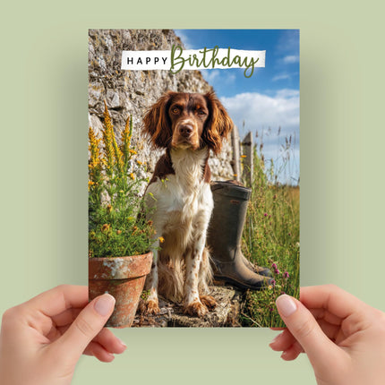 Birthday Card for Dog Lovers, Springer Spaniel Countryside Design