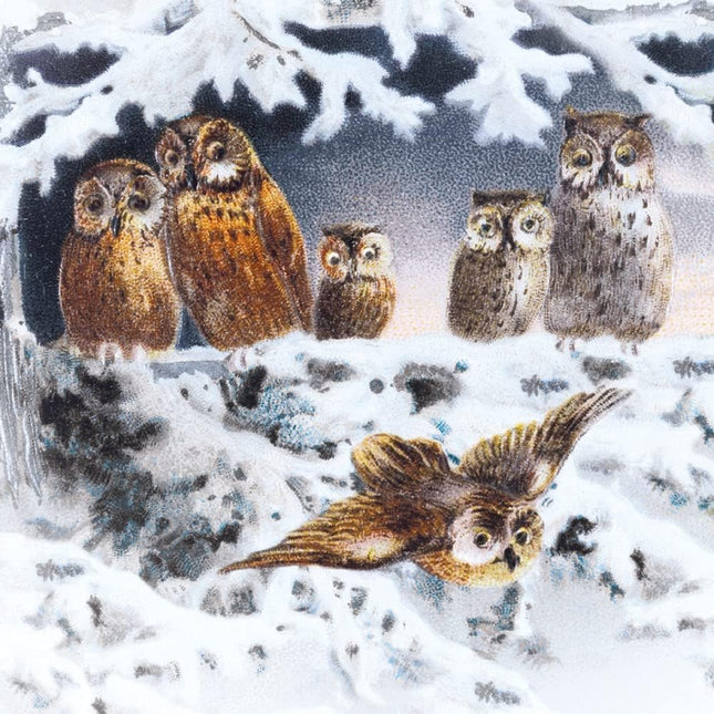 Museums and Galleries Charity Christmas Cards Pack of 8 - Charity Christmas Cards with Artistic Owls Design - Eco-Friendly Xmas Cards Multipack with Envelopes