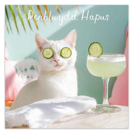 Funny Welsh Birthday Card for Her, Spa Cat, Penblwydd Hapus
