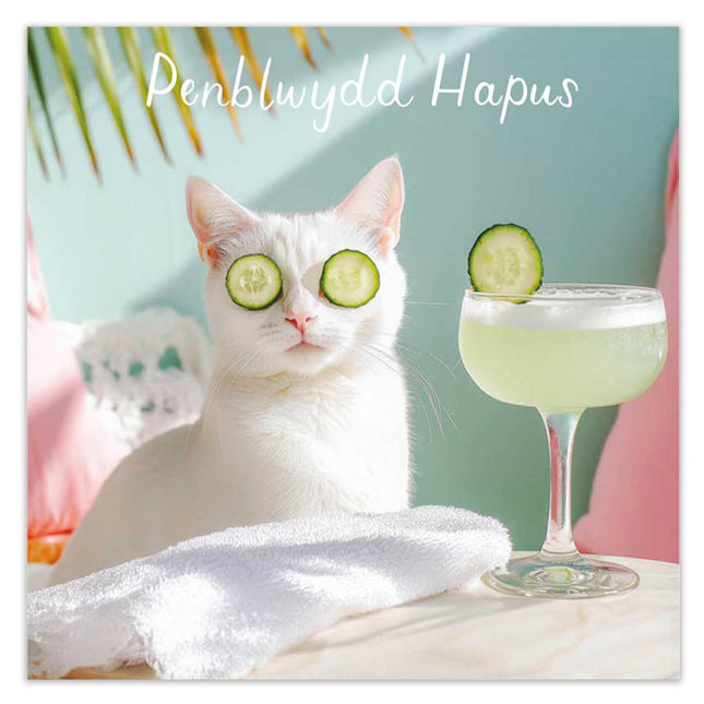 Funny Welsh Birthday Card for Her, Spa Cat, Penblwydd Hapus