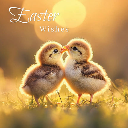 Easter Cards Pack of 6 - Cute Chicks & Bunny Rabbits Designs - 3 Each of 2 Designs - Assorted Premium Greeting Cards Multipack with Envelopes