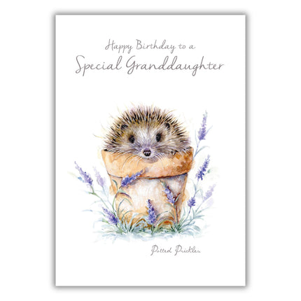 Birthday Card for Granddaughter - Cute Hedgehog in Plant Pot - Birthday Greeting Card with Envelope - For a Special Granddaughter