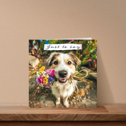 Blank Notecards Pack of 6 - Cute Dog & Flowers Design - Premium Greeting Cards Multipack with Envelopes - Suitable for Birthday, Thank You & Other Occasions
