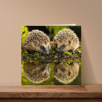Birthday/Blank RSPCA Charity Card for Men/Women - Cute Hedgehogs - Premium All Occasion Greeting Card with Envelope