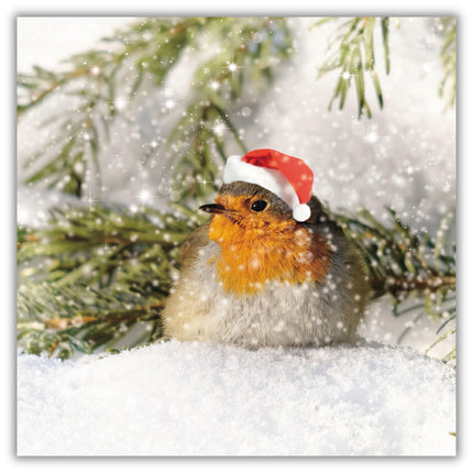 Charity Christmas Cards Pack of 6 - Festive Robin in the Snow - Premium Greeting Cards Multipack with Envelopes - Supporting UK Charities