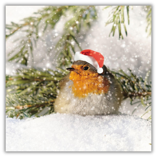 Charity Christmas Cards Pack of 6 - Festive Robin in the Snow - Premium Greeting Cards Multipack with Envelopes - Supporting UK Charities