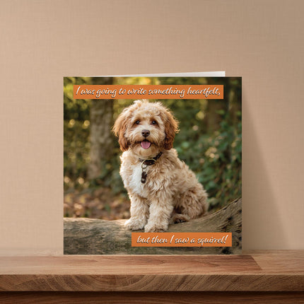 Funny Birthday Card for Dog Mum or Dog Dad - Amusing Cockapoo & Squirrel Joke from Fur Baby, Pet or Puppy - Premium Greeting Card with Envelope