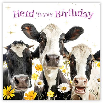 Funny Birthday Card - Amusing Cow Design - Greeting Card for Men or Women - 'Herd it's Your Birthday'