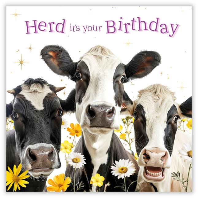 Funny Birthday Card - Amusing Cow Design - Greeting Card for Men or Women - 'Herd it's Your Birthday'