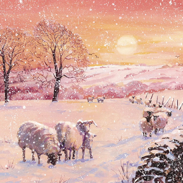 Charity Christmas Cards Pack of 6 - Charity Christmas Cards with Snowy Meadow at Design - Eco-Friendly Xmas Cards Multipack with Envelopes