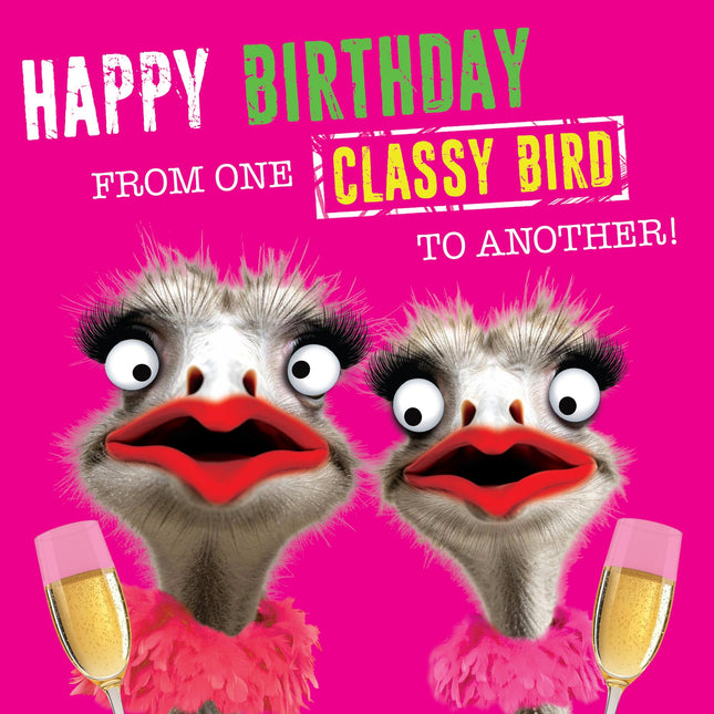 Funny Birthday Card for Women - 'From One Classy Bird to Another' Joke - Glamorous Ostrich - Humorous Animal Greeting Card for Her