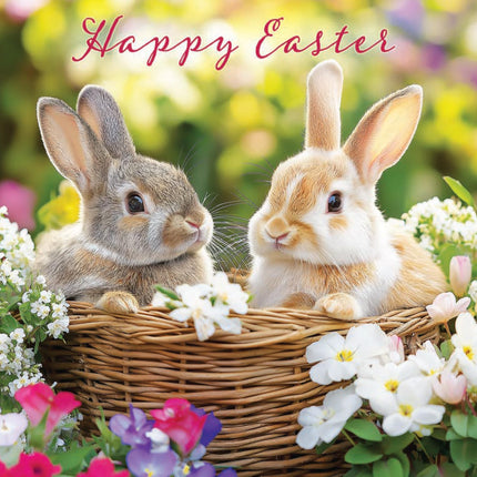 Easter Cards Pack of 6 - Cute Chicks & Bunny Rabbits Designs - 3 Each of 2 Designs - Assorted Premium Greeting Cards Multipack with Envelopes