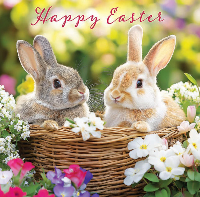 Easter Cards Pack of 6 - Cute Chicks & Bunny Rabbits Designs - 3 Each of 2 Designs - Assorted Premium Greeting Cards Multipack with Envelopes