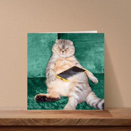 Blank Greeting Card for Men/Women - Funny Lazy Cat Design - Premium Happy Birthday or All Occasion Greeting Card with Envelope