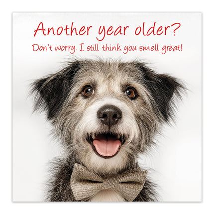 Funny Birthday Card for Men or Women - Amusing Terrier Joke for Dog Lovers - Premium Greeting Card with Envelope - Eco-Friendly & Recyclable