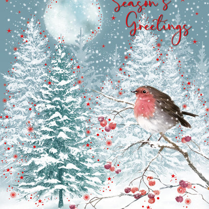 Season's Greetings Christmas Card - Festive Moonlit Robin in the Snow - Christmas Greeting Card with Envelope
