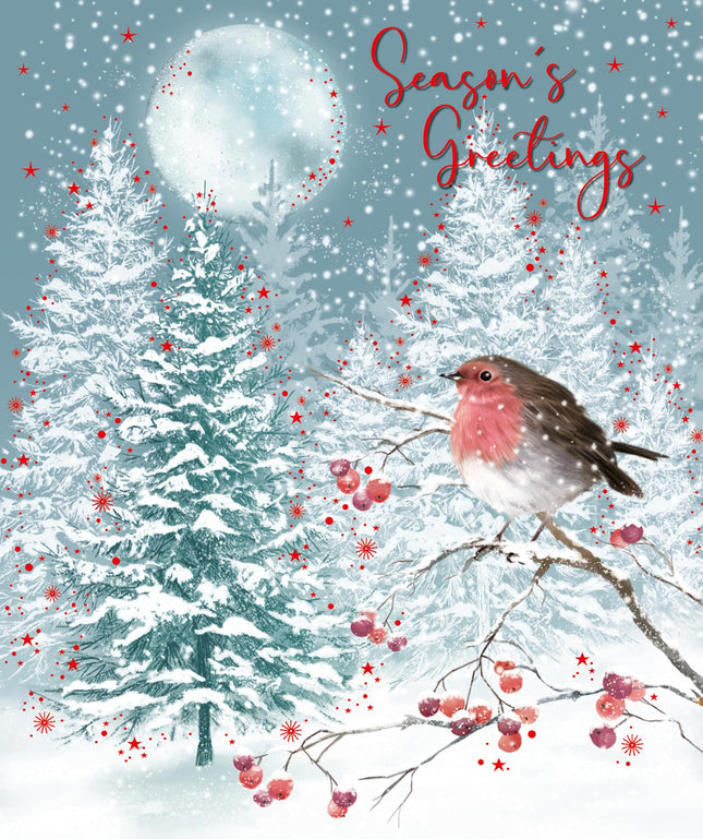 Season's Greetings Christmas Card - Festive Moonlit Robin in the Snow - Christmas Greeting Card with Envelope
