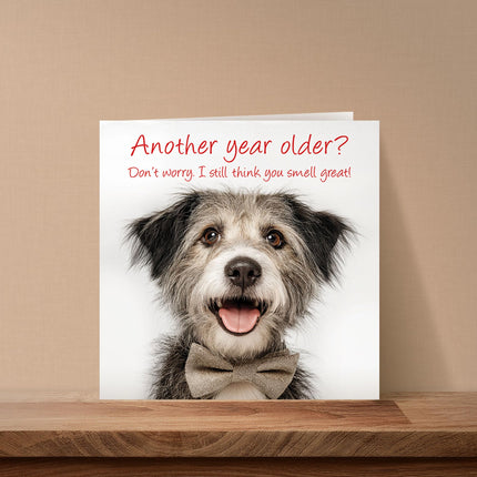 Funny Birthday Card for Men or Women - Amusing Terrier Joke for Dog Lovers - Premium Greeting Card with Envelope - Eco-Friendly & Recyclable