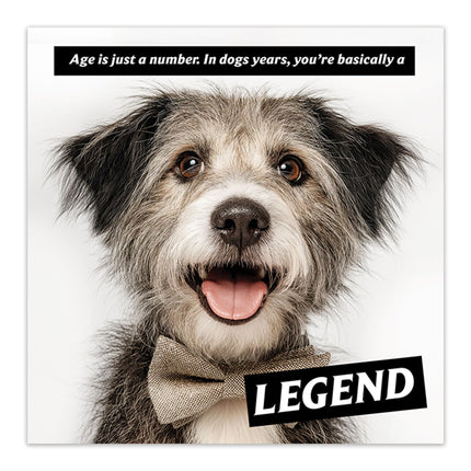 Funny Birthday Card for Men or Women - Amusing Dog Years Joke for Dog Lovers - Premium Greeting Card with Envelope - Eco-Friendly & Recyclable