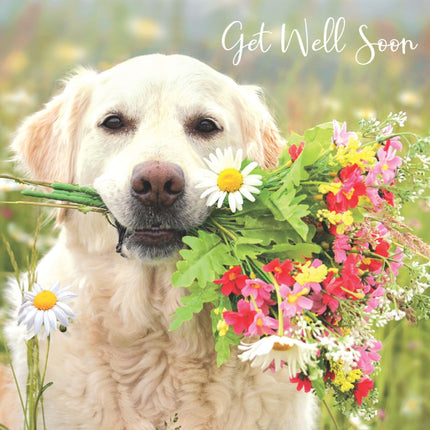 Get Well Soon Card for Women - Cute Dog & Bouquet Design - Sunny Field Design - Uplifting Greeting Card For Recovery