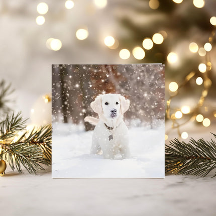 Charity Christmas Cards Box of 20 - BHF, Marie Curie, Parkinson's UK, Oxfam, The Stroke Association, NSPCC - Snow Dogs - 10 Each of 2 Designs - Eco-Friendly