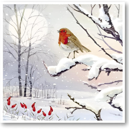 Charity Christmas Cards Pack of 8 - Charity Christmas Cards with a Robin on a Snowy Branch Design - Eco-Friendly Xmas Cards Multipack with Envelopes
