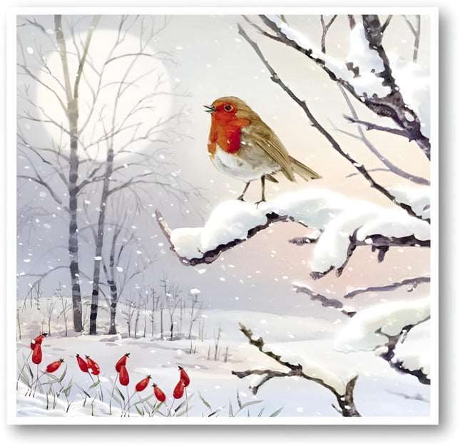 Charity Christmas Cards Pack of 8 - Charity Christmas Cards with a Robin on a Snowy Branch Design - Eco-Friendly Xmas Cards Multipack with Envelopes