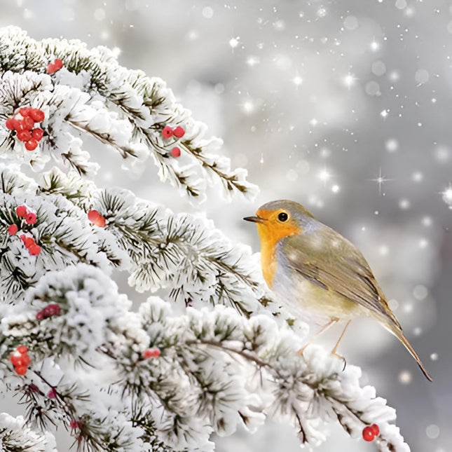 Charity Christmas Cards Pack of 6 - Charity Christmas Cards with a Robin on a Snowy Branch Design - Eco-Friendly Xmas Cards Multipack with Envelopes