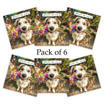 Blank Notecards Pack of 6 - Cute Dog & Flowers Design - Premium Greeting Cards Multipack with Envelopes - Suitable for Birthday, Thank You & Other Occasions