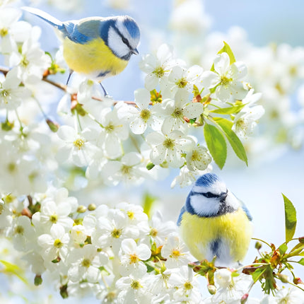 RSPB Birthday or All-Occasion Card - Floral Blue Tit Design - Blank Inside - For Men or Women - Animal Greeting Card