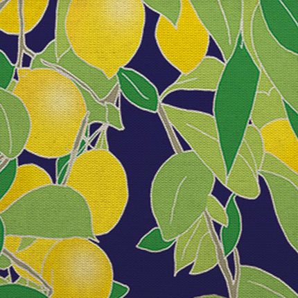 Organic Eco-Friendly Cotton Canvas Tote Bag - Lemon Grove Design by Emily Burningham - Artistic Reusable Shopping Bag