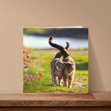 Blank Greeting Card for Women - Cute Cats & Flowers Design - Premium Happy Birthday or All Occasion Greeting Card with Envelope
