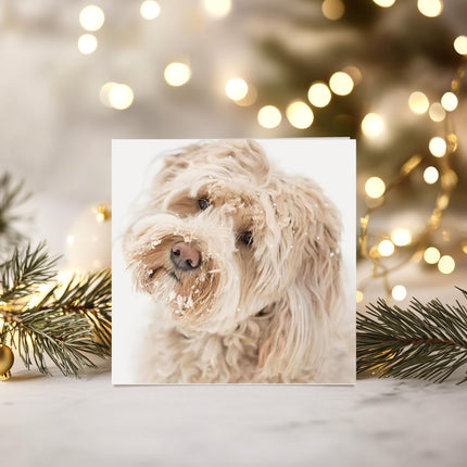 Charity Christmas Cards Box of 20 - BHF, Marie Curie, Parkinson's UK, Oxfam, The Stroke Association, NSPCC - Snow Dogs - 10 Each of 2 Designs - Eco-Friendly