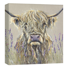 Collection image for: Cows