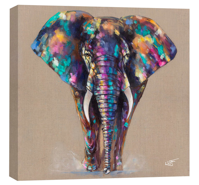 Elephant Canvas Print Wall Art - Animal Themed Home Decor - Louise Luton Artwork - Ready to Hang 'Little Hugo' Painting - 40 x 40cm