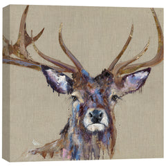 Collection image for: Deer