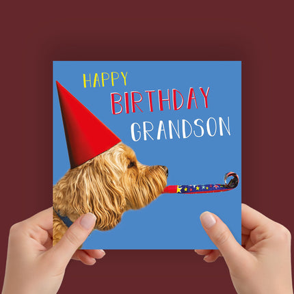 Birthday Card for Grandson – Funny Cockapoo Party Hat Design