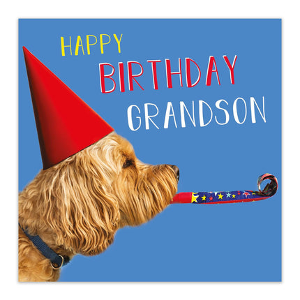 Birthday Card for Grandson – Funny Cockapoo Party Hat Design
