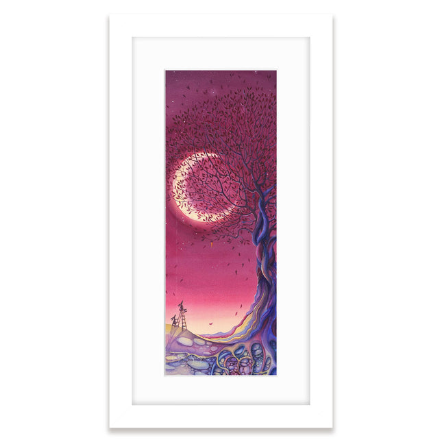 ‘Moon Gazing’ Framed Print by Catherine J Stephenson