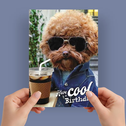 Birthday Card for Men or Women – Funny Dog with Sunglasses Chill Design