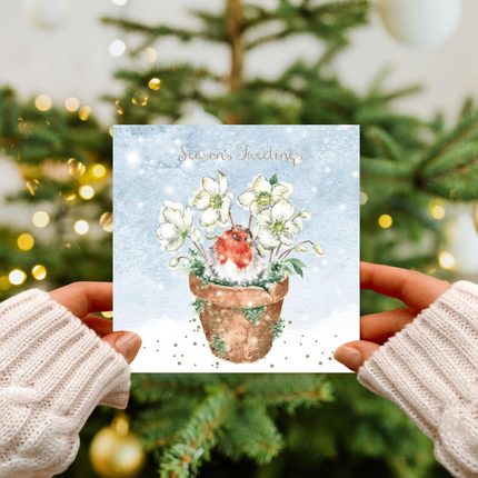 Christmas Card Box Set - Season’s Tweetings Design by Wrendale