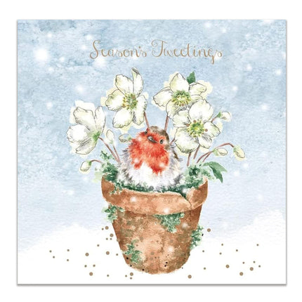 Christmas Card Box Set - Season’s Tweetings Design by Wrendale