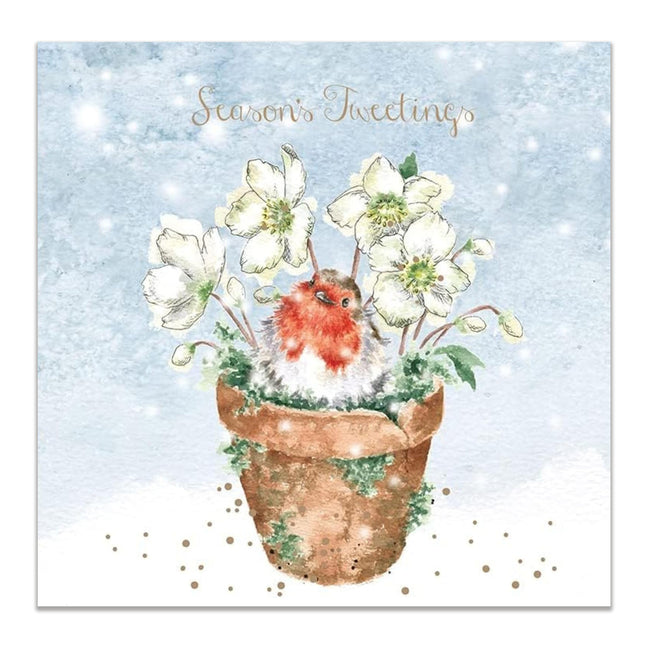 Christmas Card Box Set - Season’s Tweetings Design by Wrendale